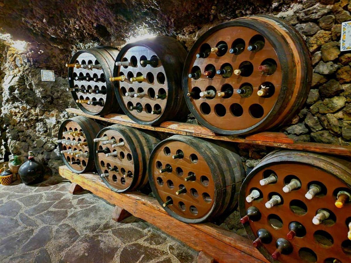 Finca Los Loros Icod De Los Vinos By Hrtenerife Net Santa Cruz de Tenerife Exterior photo